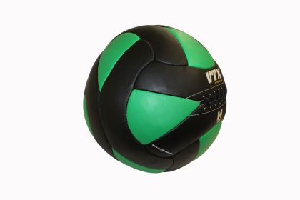14 lb Leather Wall Ball (Black/Green)