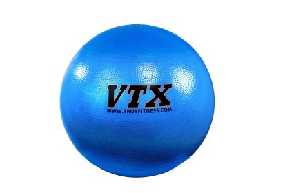 VTX Stability Ball (55cm)