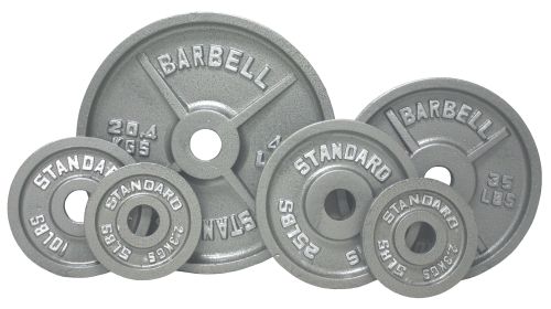 100 lb Economy Cast Iron  Gray Plate