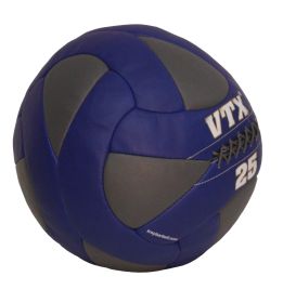 25 lb Leather Wall Ball (Blue/Gray)